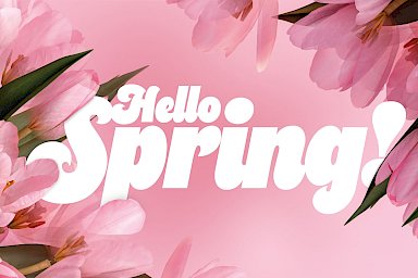 Hfi Web Spring Kopie